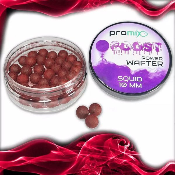 Promix Goost Power Wafter 10 mm 20 g Squid