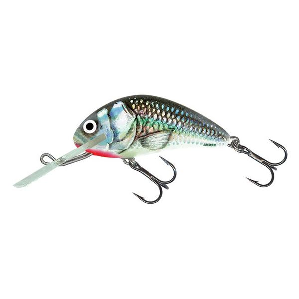 Salmo Wobler Hornet Floating 6cm 10g Holographic Grey Shiner